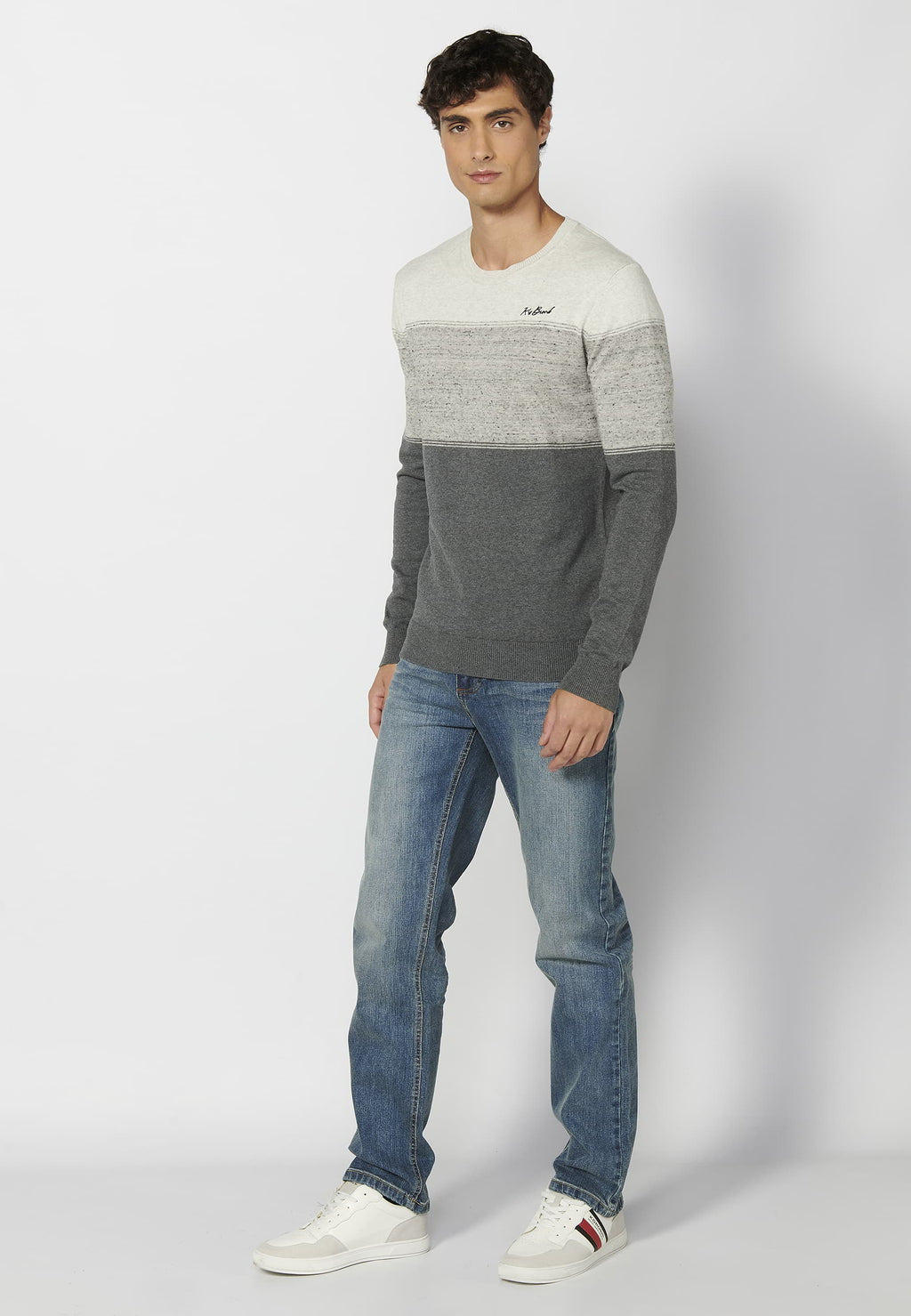 Jersey Hombre Cuello Redondo Punto Fino a Rayas – Koroshi Gris