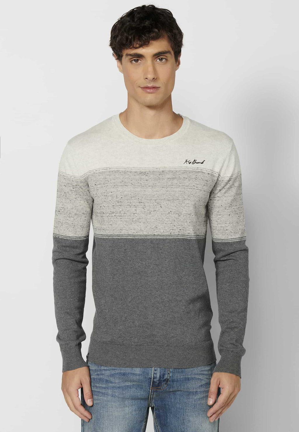 Jersey Hombre Cuello Redondo Punto Fino a Rayas – Koroshi Gris