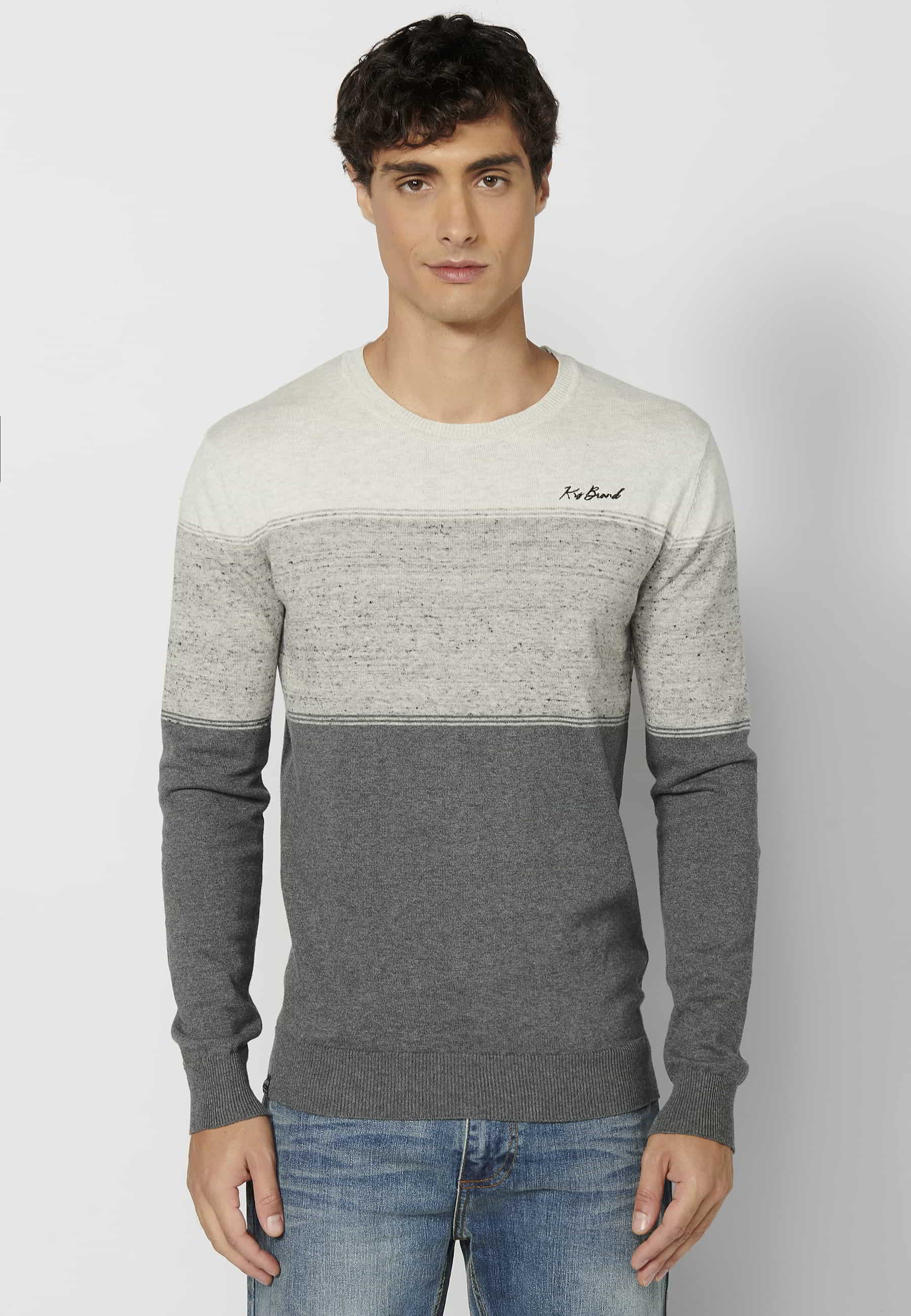 Jersey Hombre Cuello Redondo Punto Fino a Rayas – Koroshi Gris