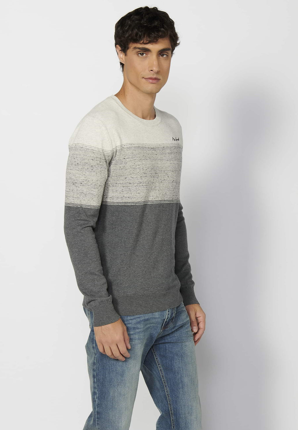 Jersey Hombre Cuello Redondo Punto Fino a Rayas – Koroshi Gris