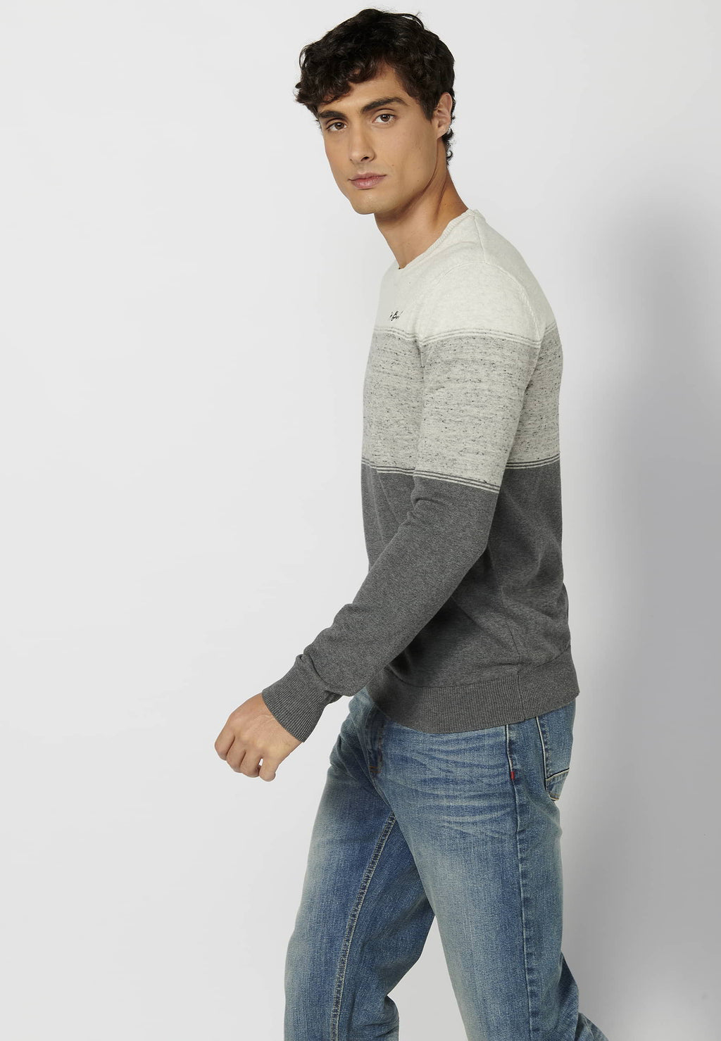 Jersey Hombre Cuello Redondo Punto Fino a Rayas – Koroshi Gris