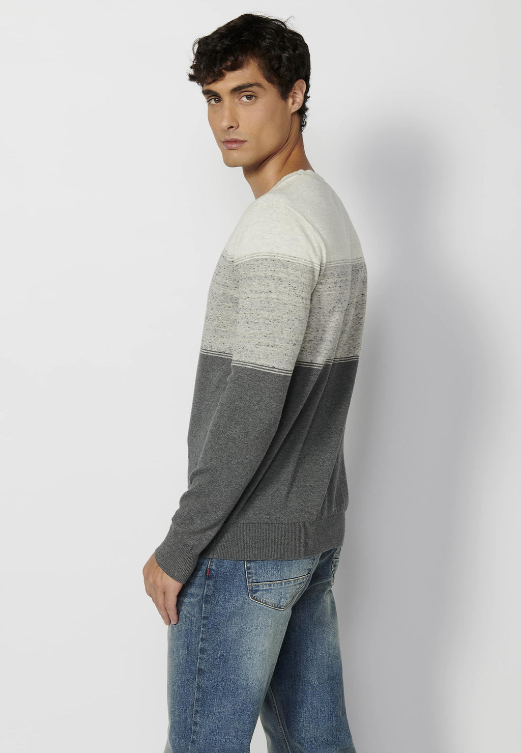 Jersey Hombre Cuello Redondo Punto Fino a Rayas – Koroshi Gris