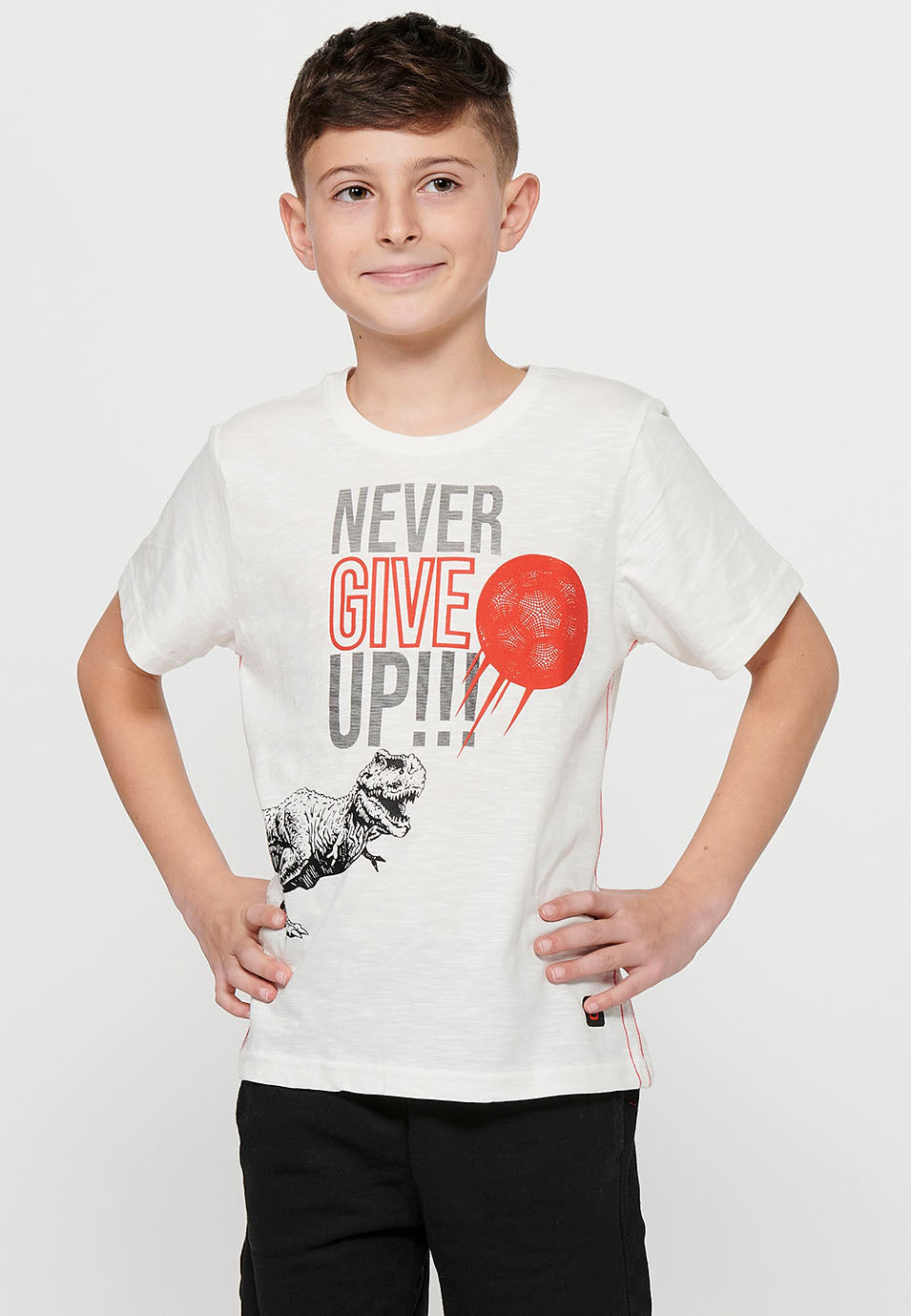 Camiseta Niño Manga Corta Dinosaurio – Koroshi Crudo
