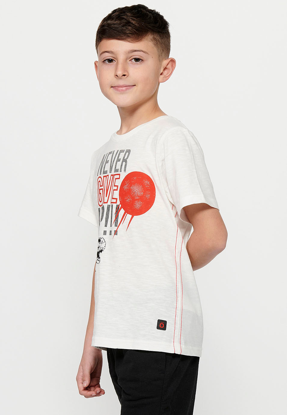 Camiseta Niño Manga Corta Dinosaurio – Koroshi Crudo