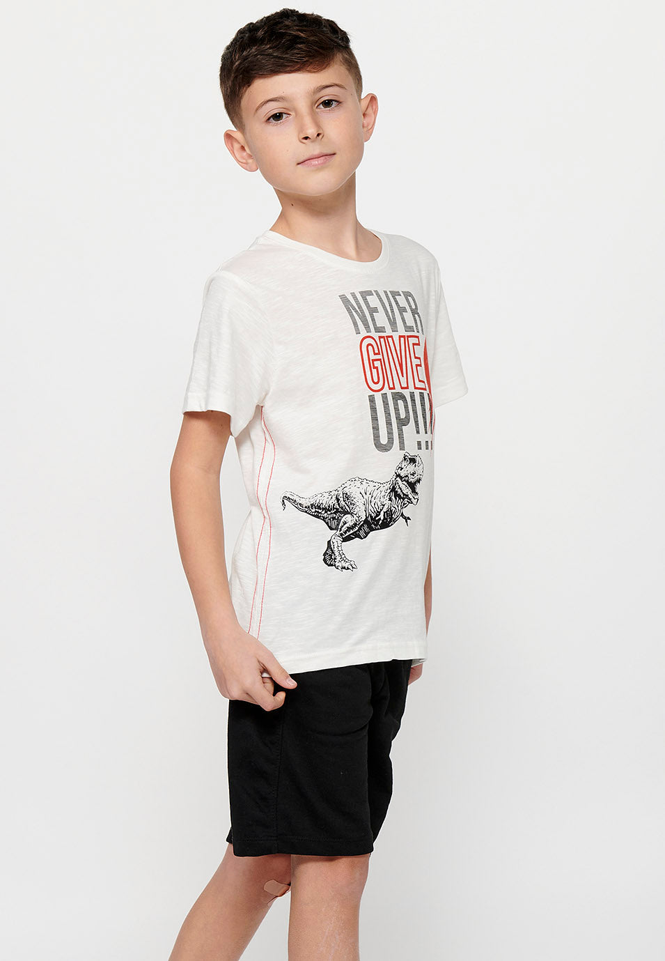 Camiseta Niño Manga Corta Dinosaurio – Koroshi Crudo