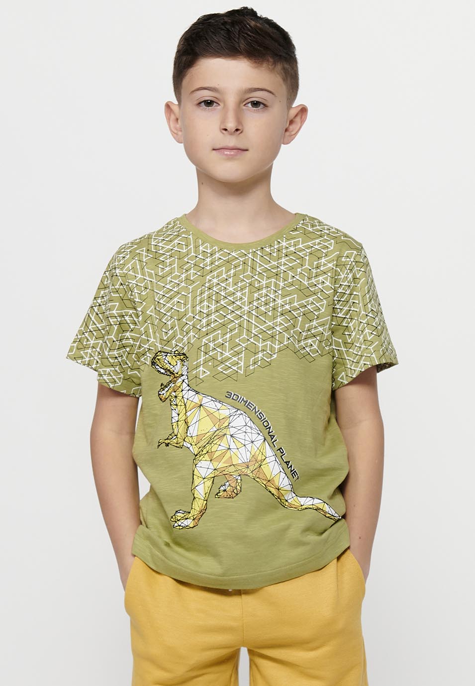 Camiseta Niño Manga Corta Dinosaurio – Koroshi Kaki