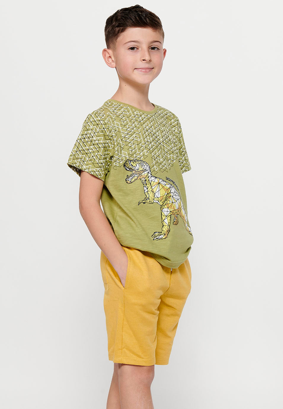 Camiseta Niño Manga Corta Dinosaurio – Koroshi Kaki