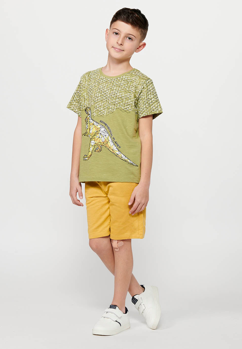 Camiseta Niño Manga Corta Dinosaurio – Koroshi Kaki