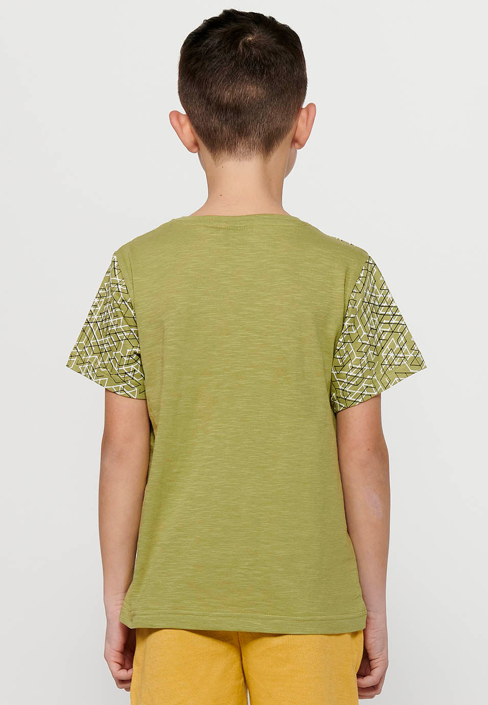 Camiseta Niño Manga Corta Dinosaurio – Koroshi Kaki