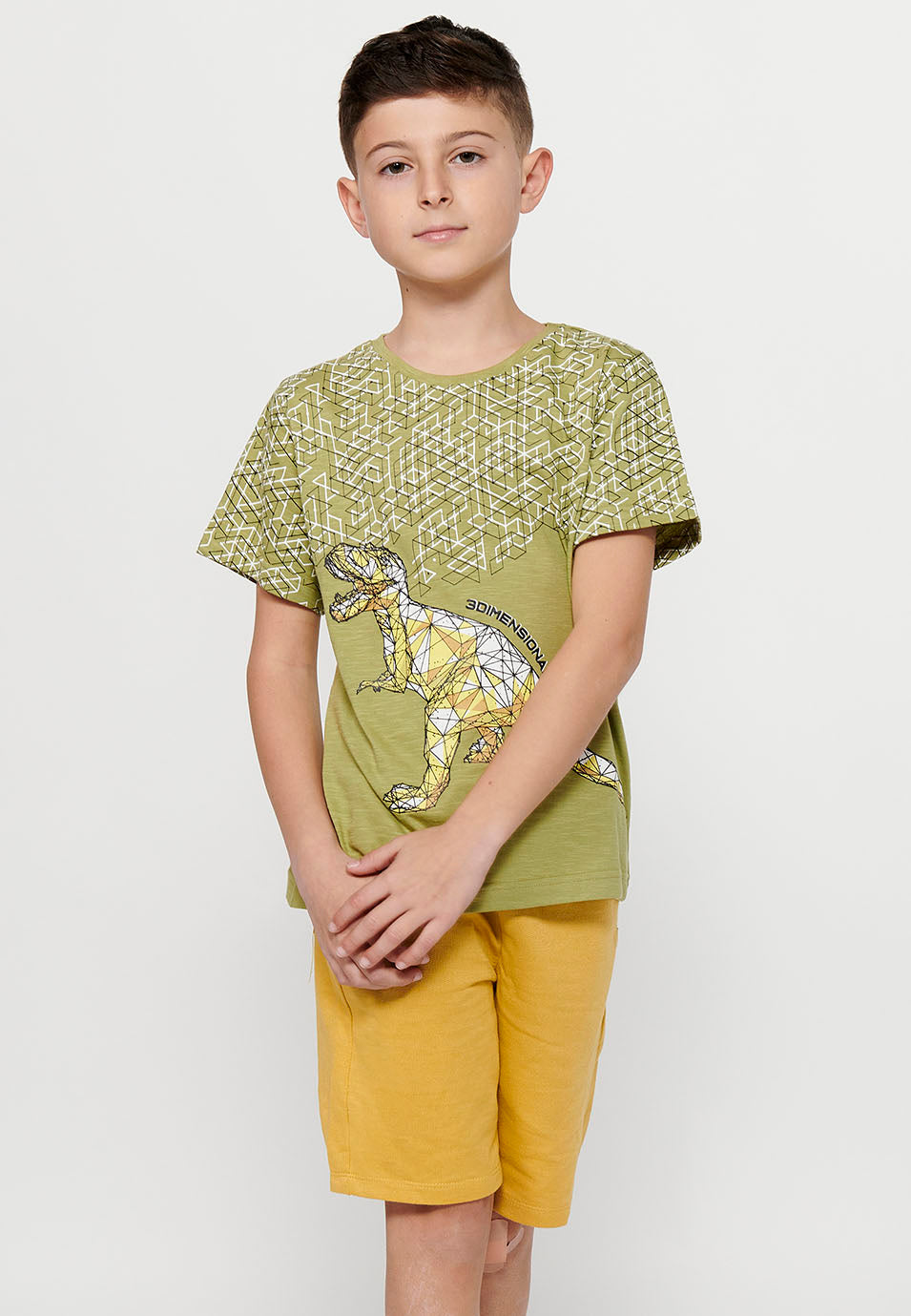 Camiseta Niño Manga Corta Dinosaurio – Koroshi Kaki