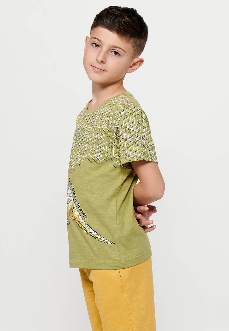 Camiseta Niño Manga Corta Dinosaurio – Koroshi Kaki
