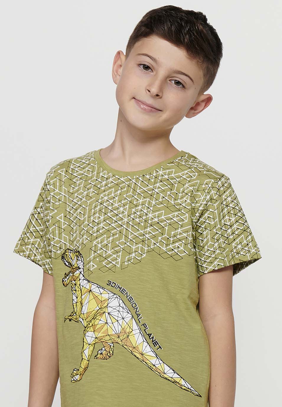 Camiseta Niño Manga Corta Dinosaurio – Koroshi Kaki