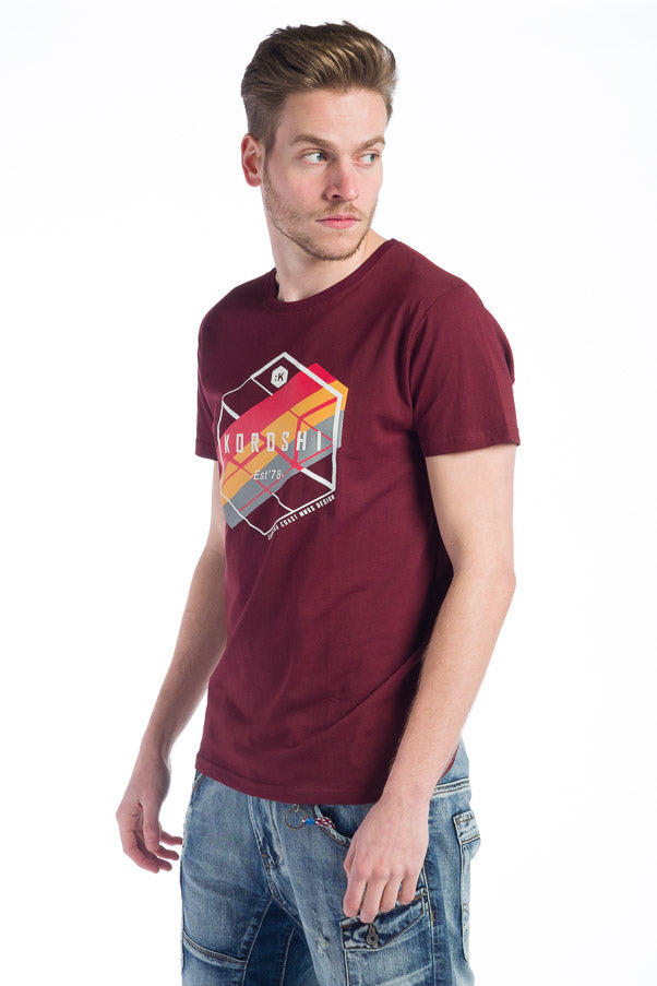 Camiseta manga corta algodon hombre estampado logo