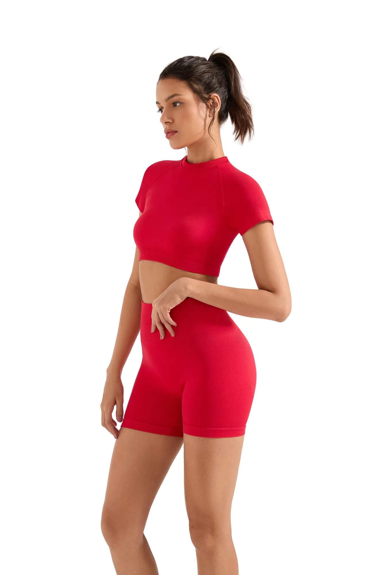 Seamless Crop Top Workout Set